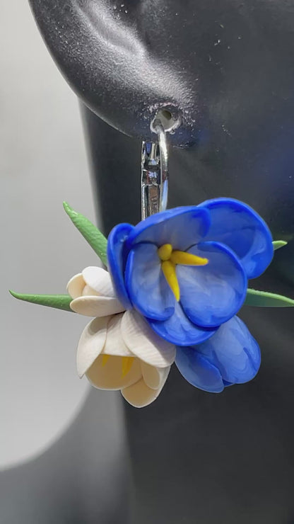Blue crocus flower